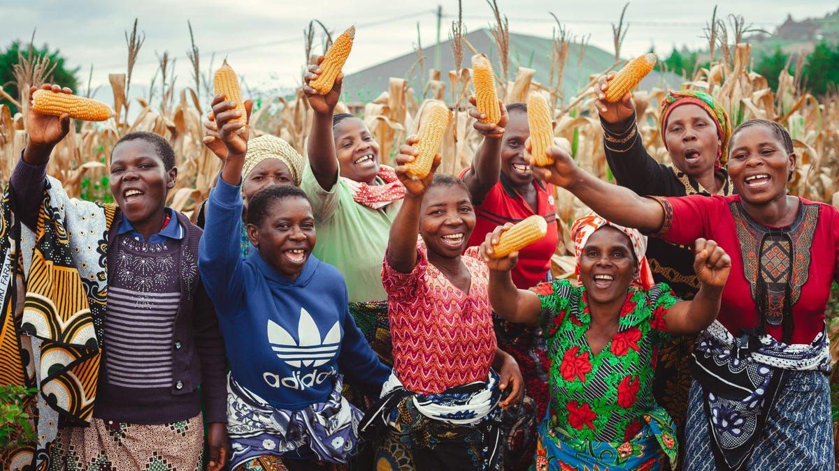 Youth Blue and Green Economy Program